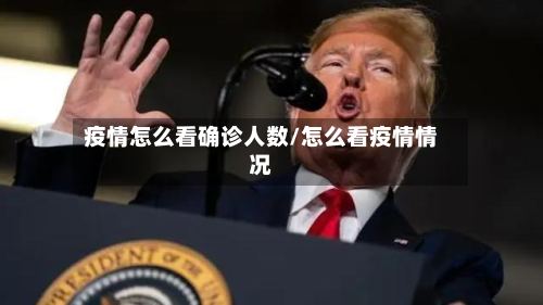 疫情怎么看确诊人数/怎么看疫情情况