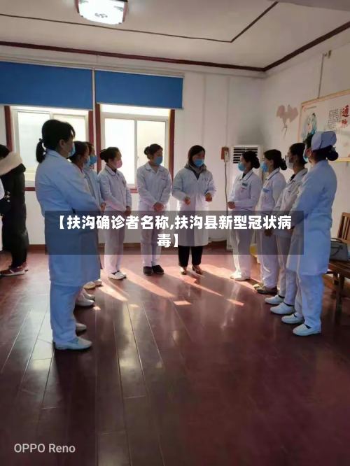 【扶沟确诊者名称,扶沟县新型冠状病毒】-第2张图片